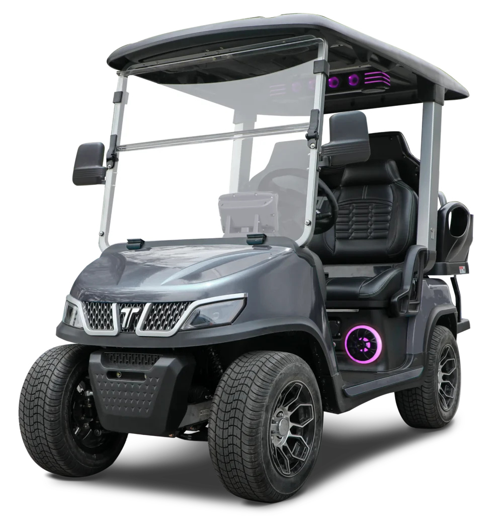 2+2-pass-golf-cart-color-ARCTIC-GRAY1